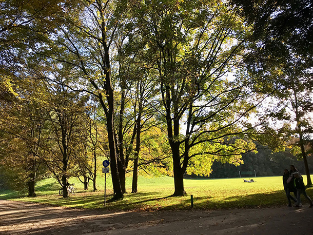 秋のヒルシュガルテン。奥に見える丘は、冬になると子どもたちのそり遊び場に