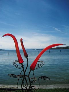 芸術作品を通して見るシュタルンベルク湖