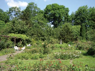 ビオ菜園