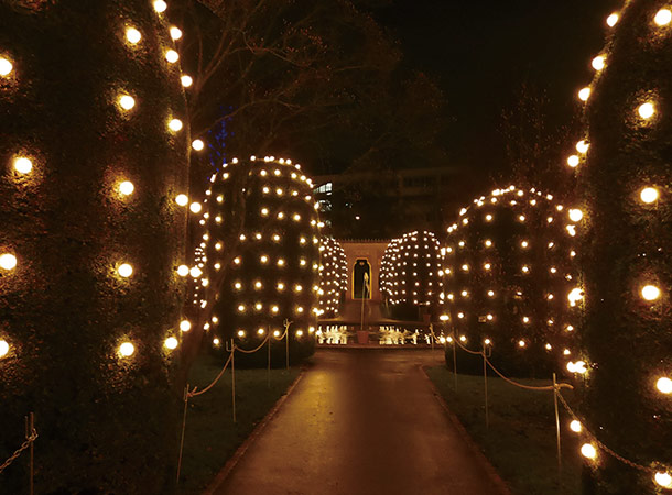 黄金色の庭園