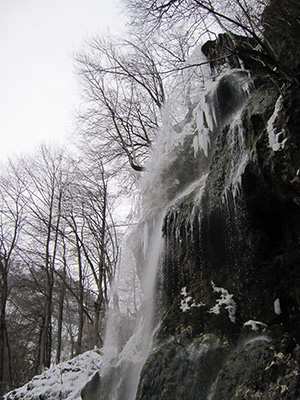 冬は違った滝の美しさを見せてくれる