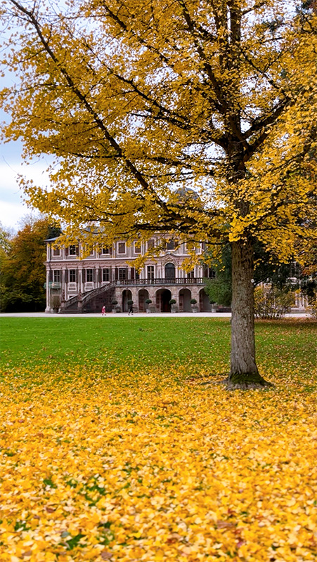 シヴィラ夫人のお気に入りが詰まったお城
