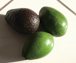 アボカド・Avocado