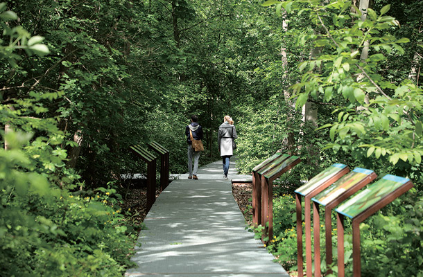 緑にあふれた自然公園の遊歩道