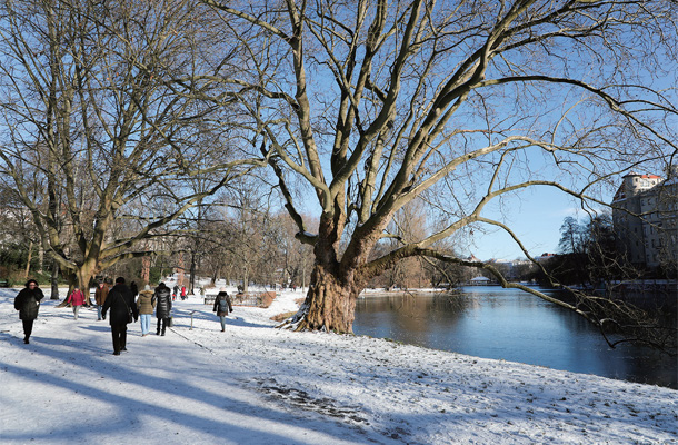 雪化粧に覆われたリーツェンゼーの湖畔にて