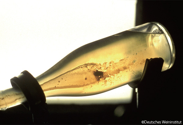 ゼクトを生み出す瓶の中の酵母。働きを終えた酵母は、瓶の口に集められ、取り除かれる