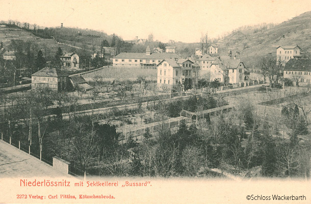 1900年当時のゼクトケラーライ・ブッサルト
