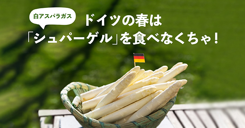 ドイツの春は「シュパーゲル」を食べなくちゃ！