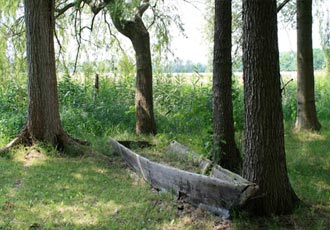 木の小舟