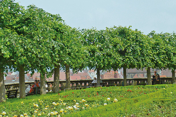 バンベルクから世界へ！缶で飛躍する醸造所