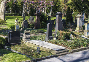 墓地 Friedhof