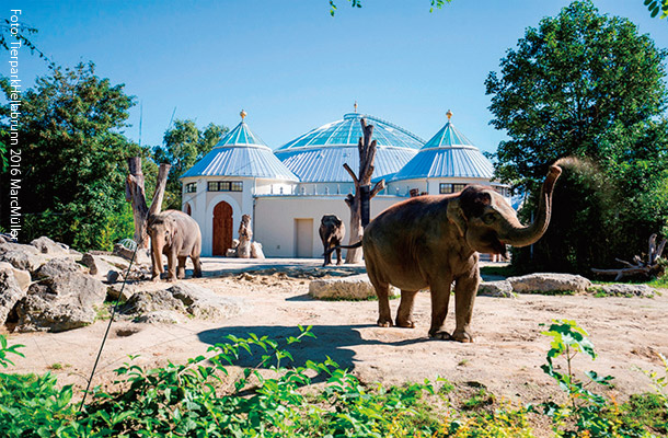 ヘラブルン動物園