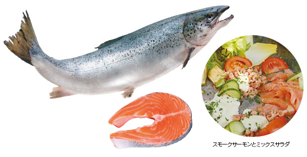 サケ Lachs