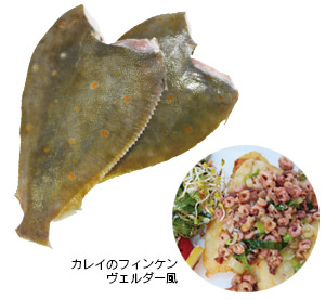 カレイ