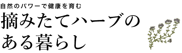 摘みたてハーブのある暮らし