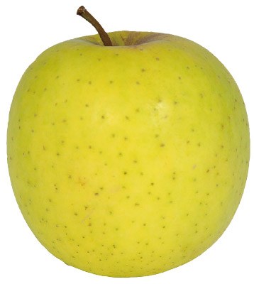 Golden Delicious