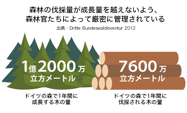 森林の伐採量が成長量を越えないよう、森林官たちによって厳密に管理されている