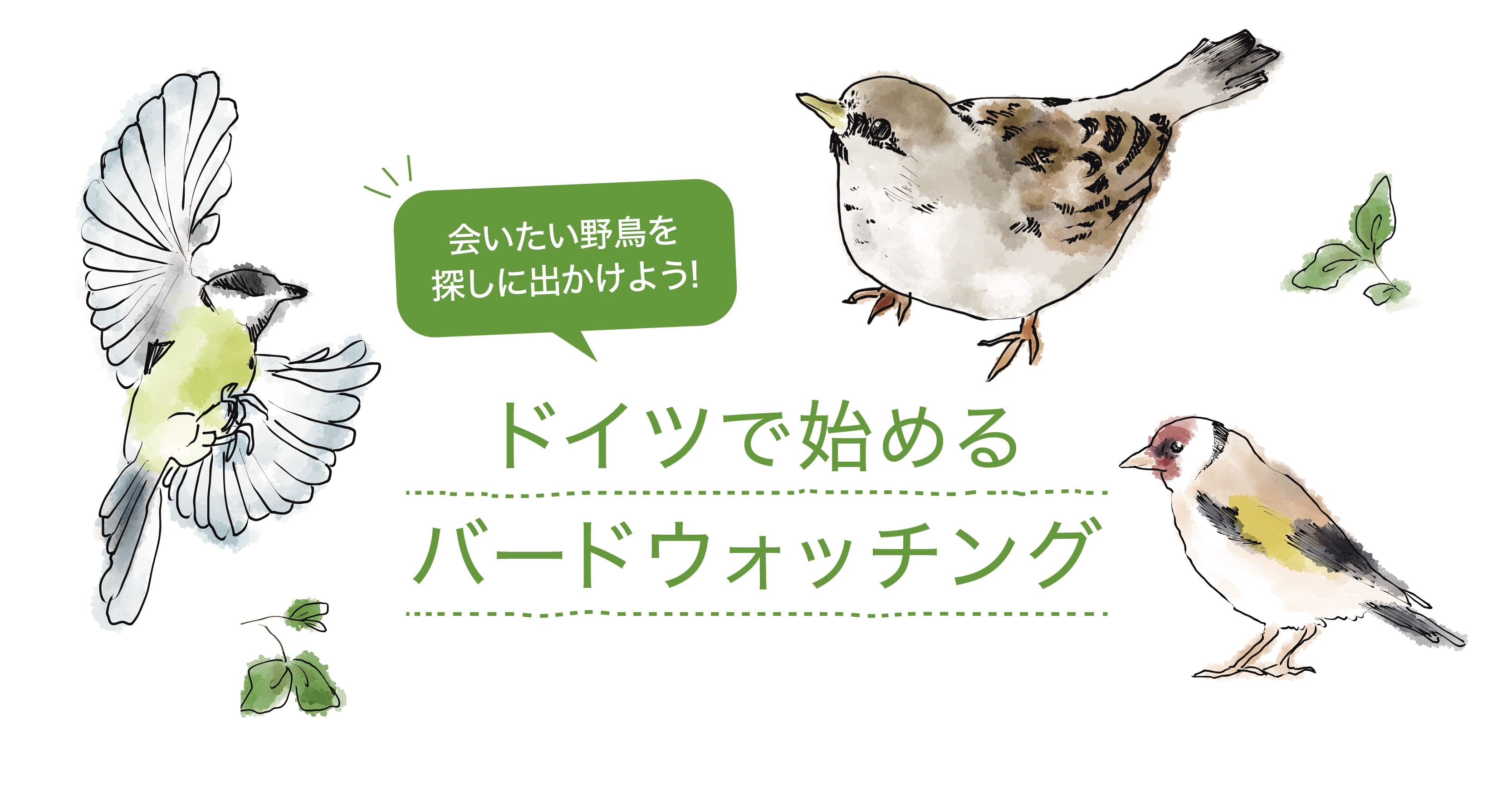 ドイツで始めるバードウォッチング - 会いたい野鳥を探しに