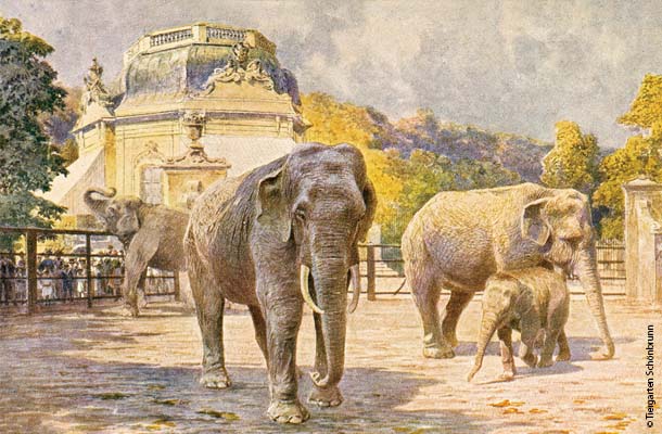 1910年頃に描かれたシェーンブルン動物園。奥のパビリオンは1759年にフランツ1世が朝食用に建てたもので、現在もレストランとして営業中