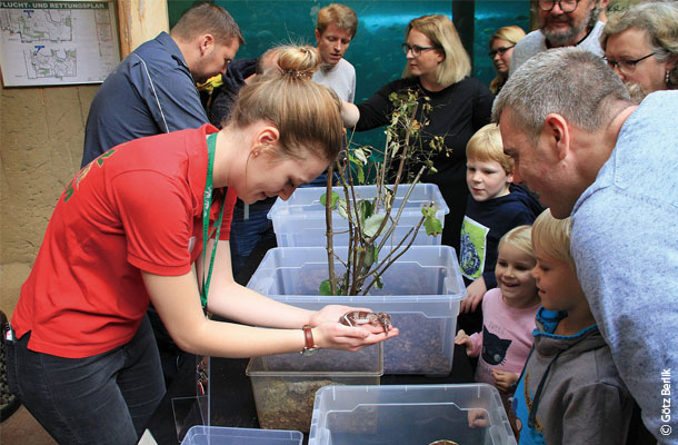 ハーゲンベック動物園のZooschule（動物学校）の様子