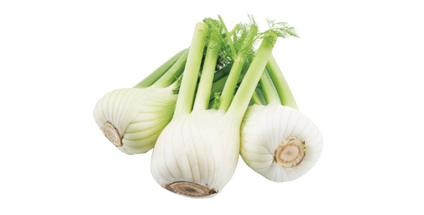 Fenchel