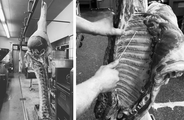 研修先にて、肉を解体する様子