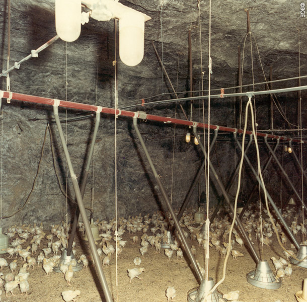 オンライン見学の様子