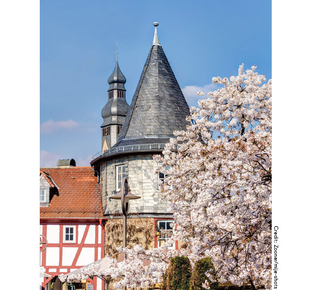 ウンタートーア広場の桜