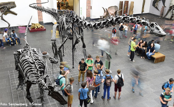 Senckenberg Naturmuseum