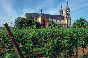 リープフラウエン教会とワイン畑