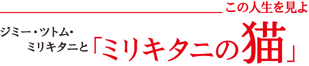 ジミー・ツトム・ミリキタニと「ミリキタニの猫」