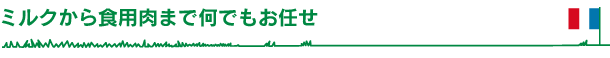 ミルクから食用肉まで何でもお任せ
