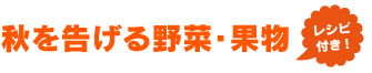 秋を告げる野菜・くだもの　レシピ付き！