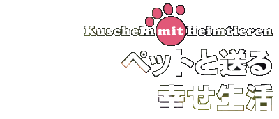 ペットと送る幸せ生活