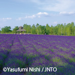 北海道