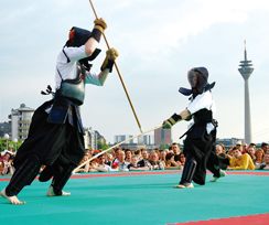 武道