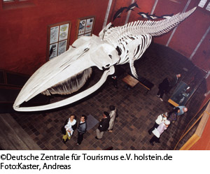 シュトラールズントの
ドイツ海洋博物館