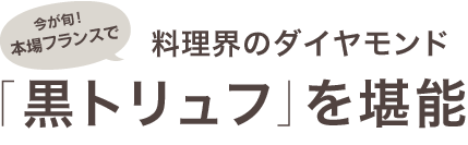 料理界のダイアモンド「黒トリュフ」を堪能しよう