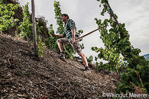 Weingut Meierer